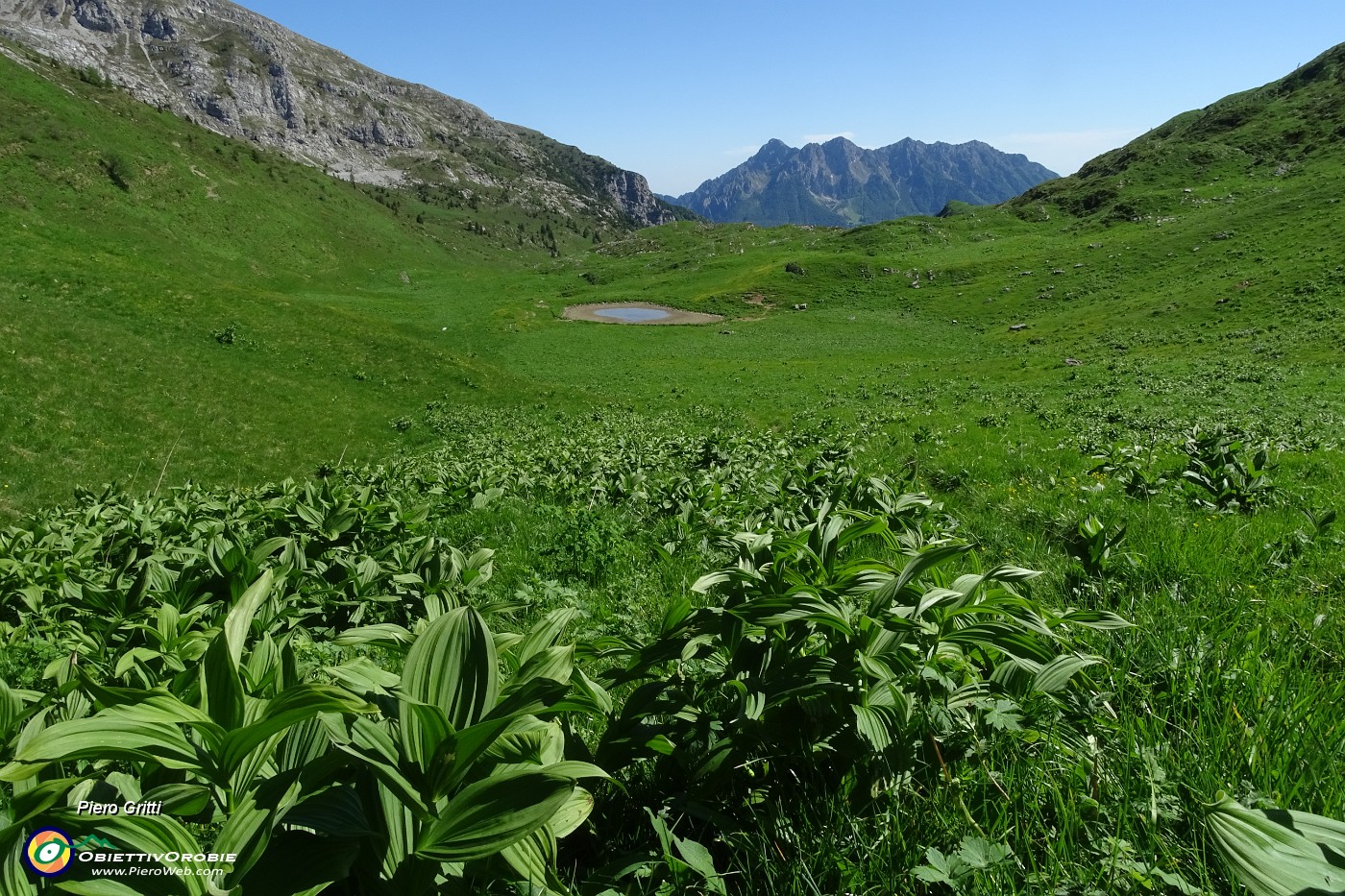 77 Discesa sul sent. 231 nei verdi pascoli dell'alta Val Vedra.JPG